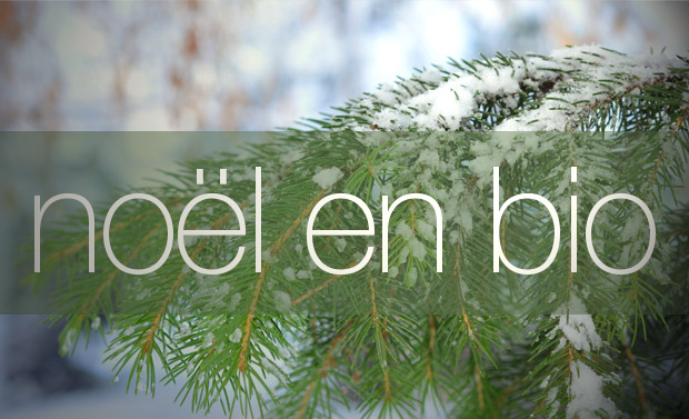 Noël Bio organisé par le COPRAE - Toulou-sain, web magazine local